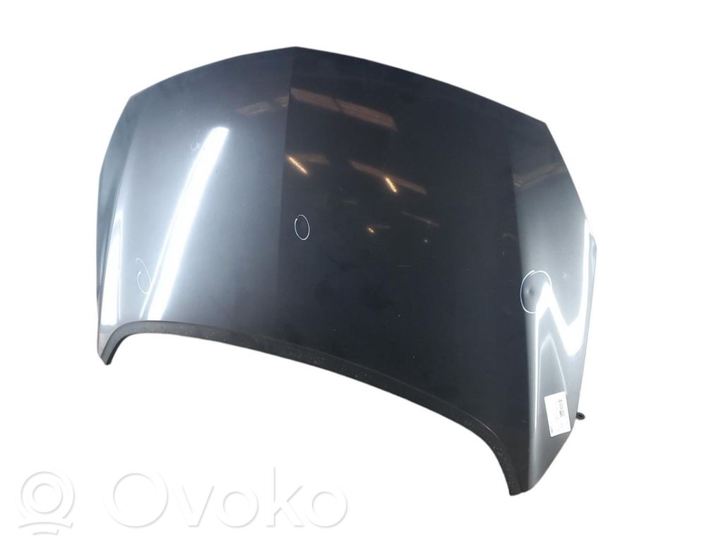 Dzinēja pārsegs (vāks)   39014121