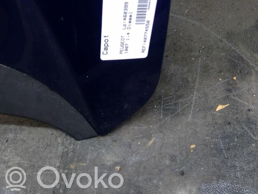 Engine bonnet/hood   7901K9