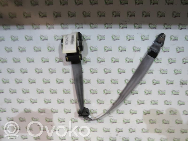Cinturón delantero   8972QZ