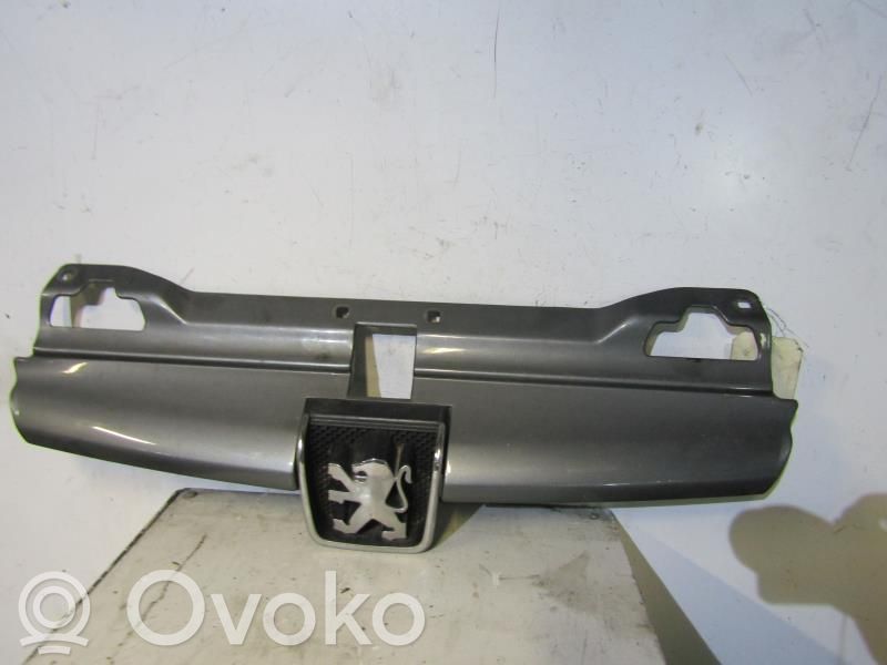 Peugeot 406 Etusäleikkö 
