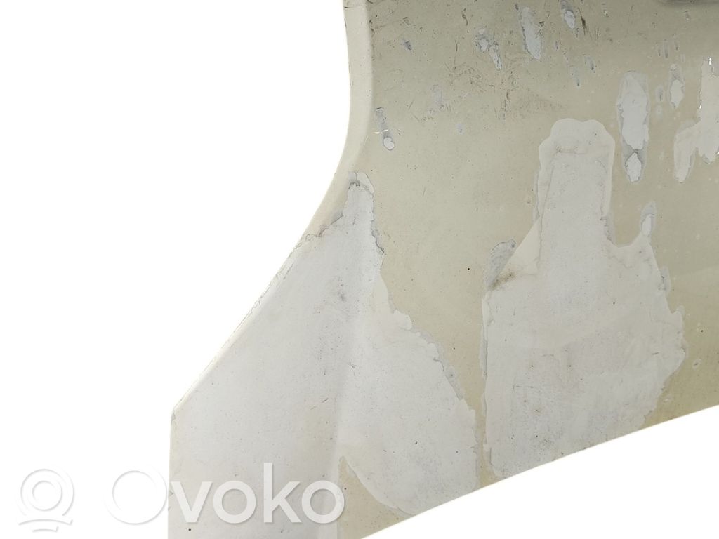 Dzinēja pārsegs (vāks)   7901Q0