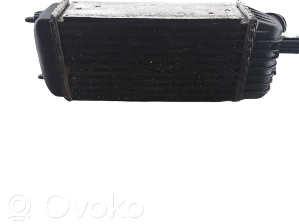 Peugeot Expert Starpdzesētāja radiators 