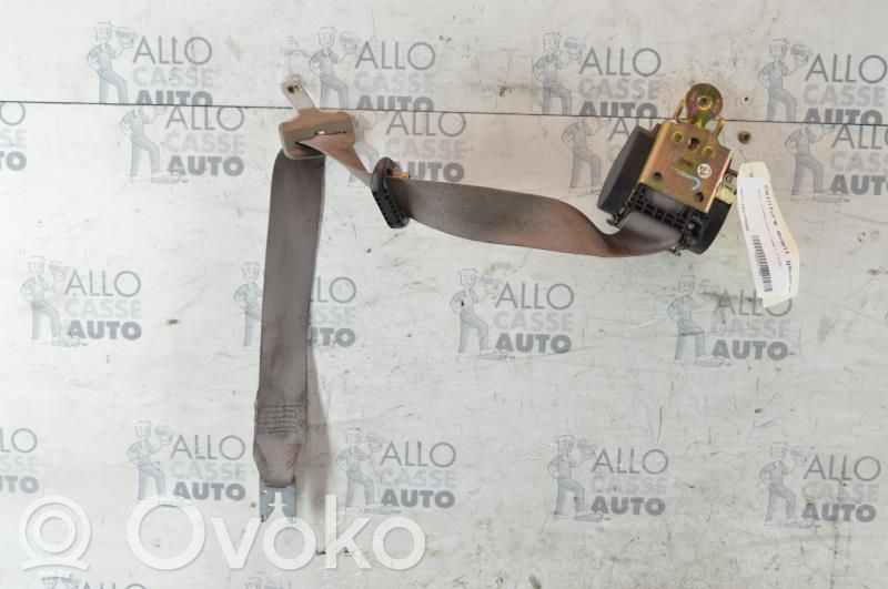 Cinturón delantero   8200376444