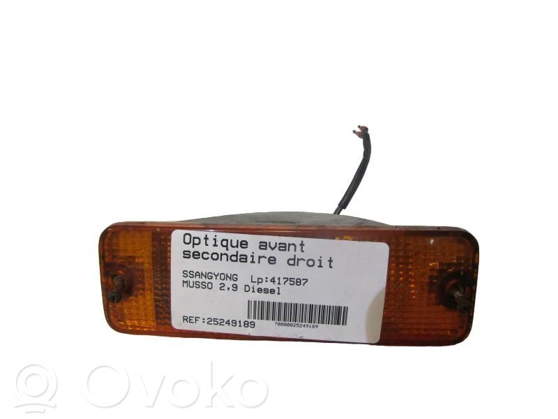 Seitenblinker   8320205100D