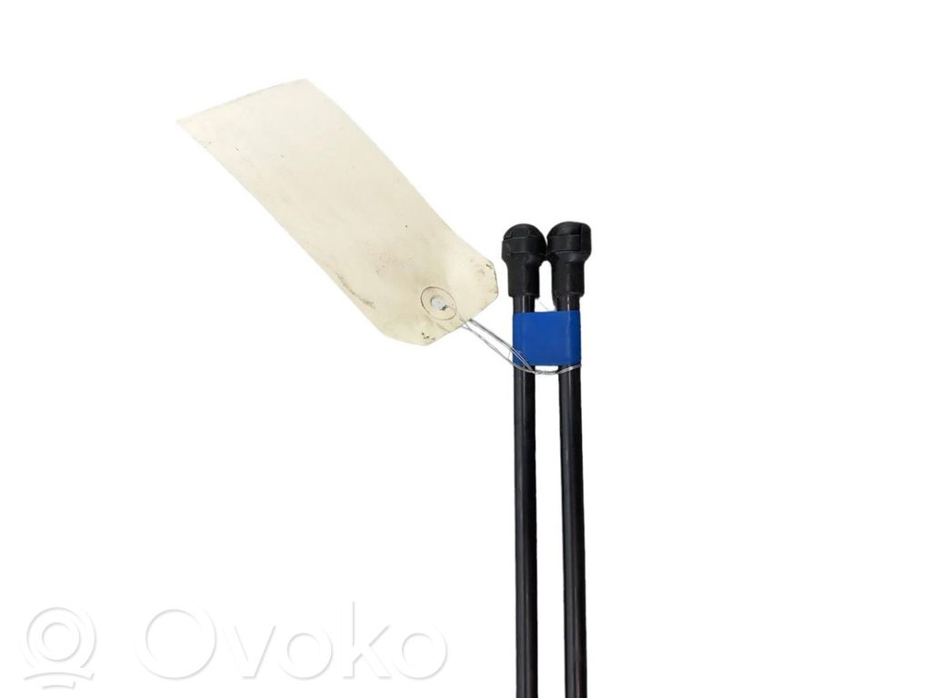 Tailgate/trunk strut/damper   8186083E10