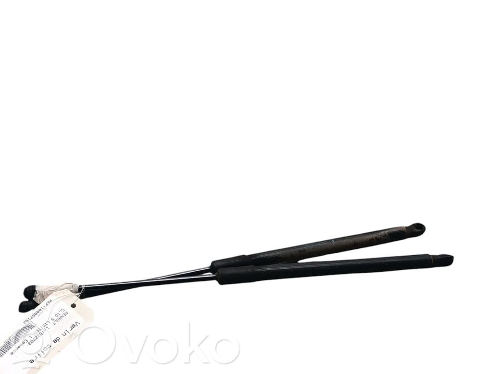 Tailgate/trunk strut/damper   904508213R