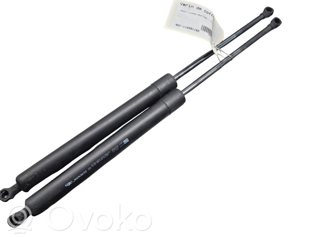 Renault Modus Tailgate/trunk strut/damper 