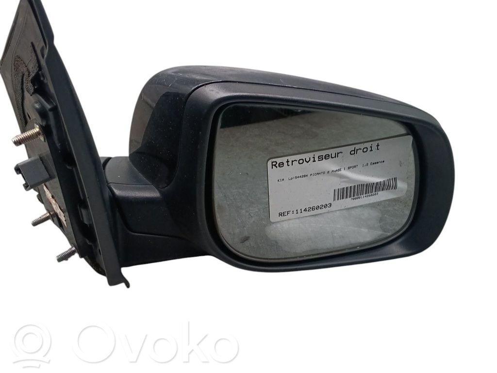 Espejo lateral manual   876201Y860