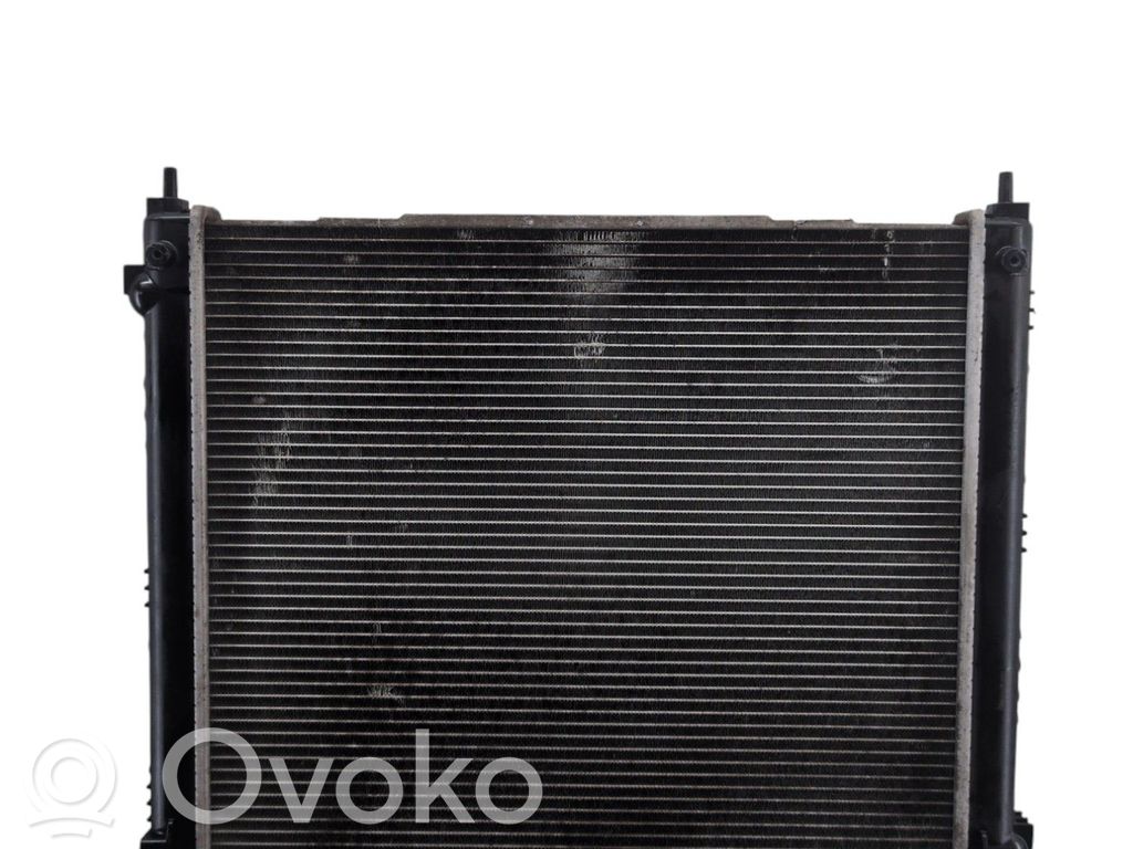 Radiatore di raffreddamento   21410BA62A