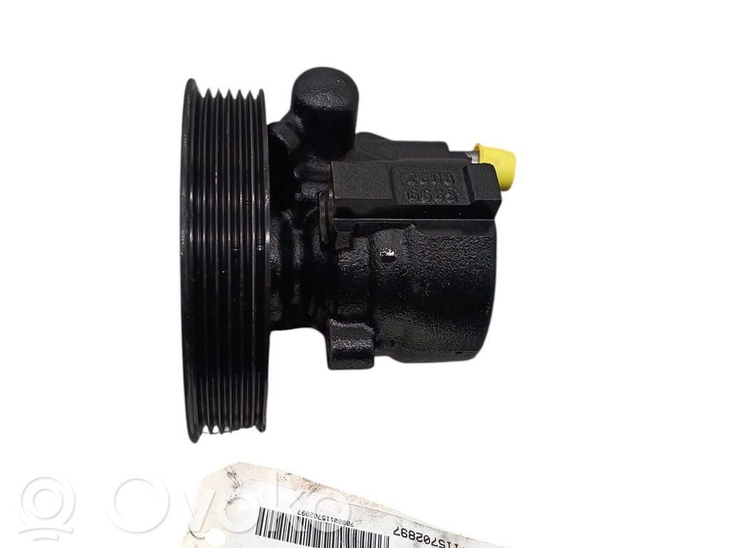 Ohjaustehostimen pumppu   491106541R