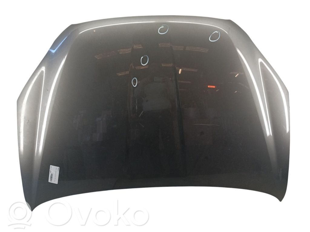 Dzinēja pārsegs (vāks)   6101134101