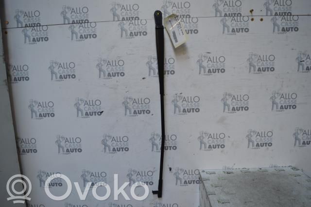 Citroen C5 Brazo del limpiaparabrisas delantero 