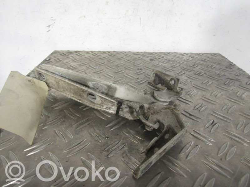Volkswagen PASSAT B5 Cerniere del vano motore/cofano 