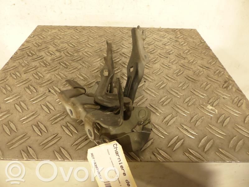 Dzinēja pārsega eņģe (-es)   CC2952420D