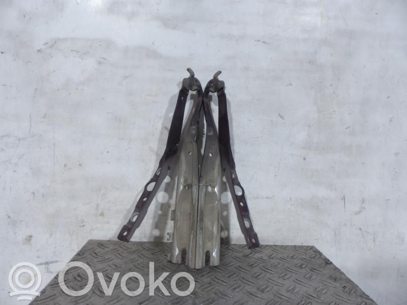 Peugeot 407 Cerniere del vano motore/cofano 