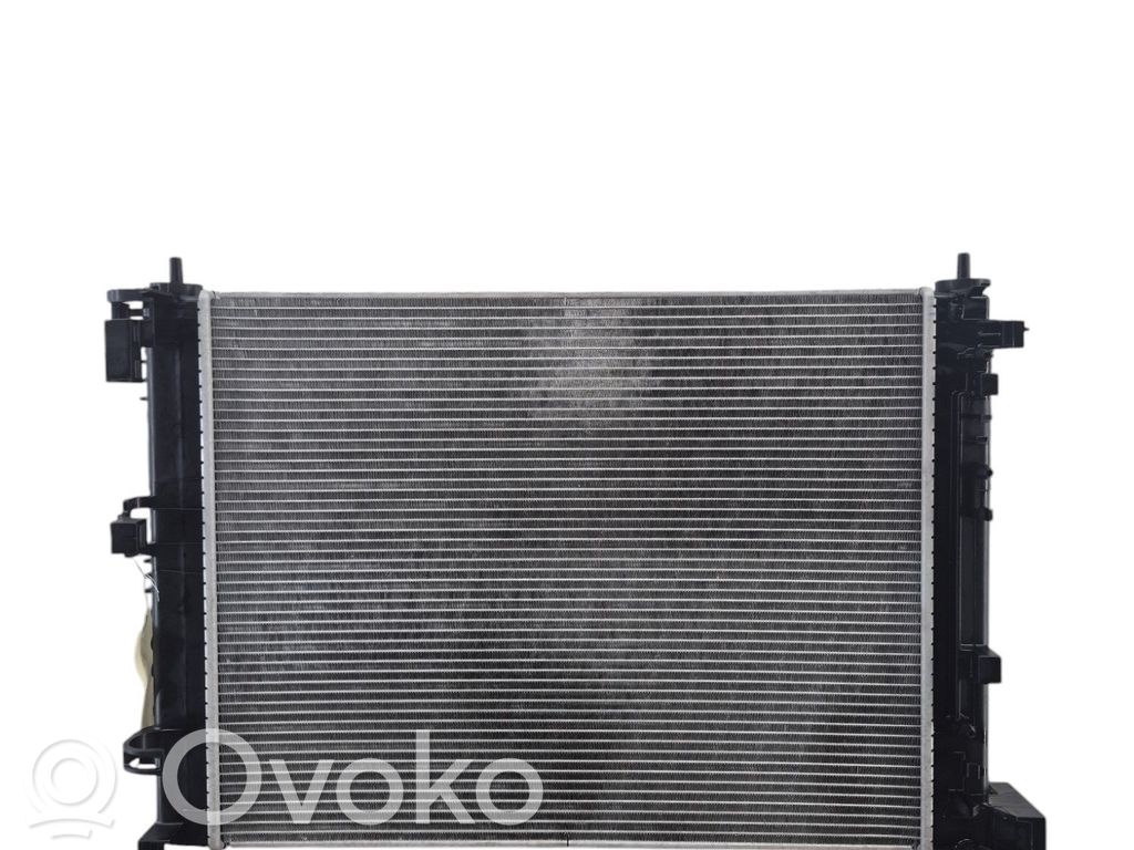 Coolant radiator   214105FA0A,DN2480