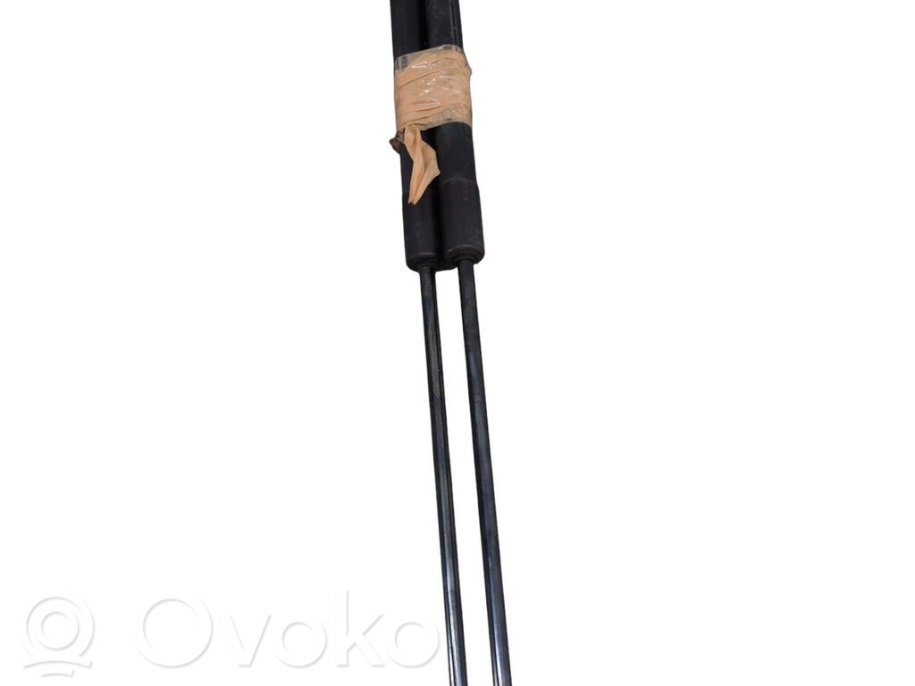Tailgate/trunk strut/damper   1666068