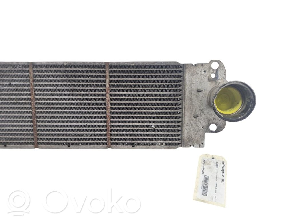 Volkswagen Multivan T5 Intercooler radiator 