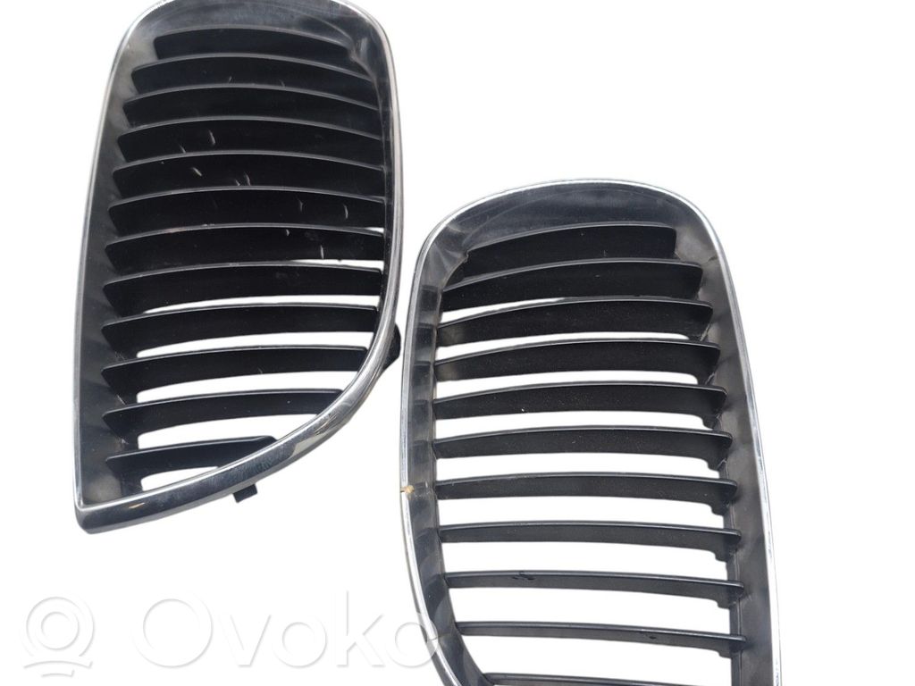 Front grill   51137127228