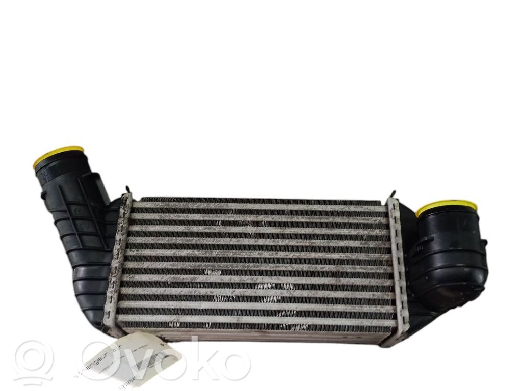 Peugeot 5008 Intercooler radiator 