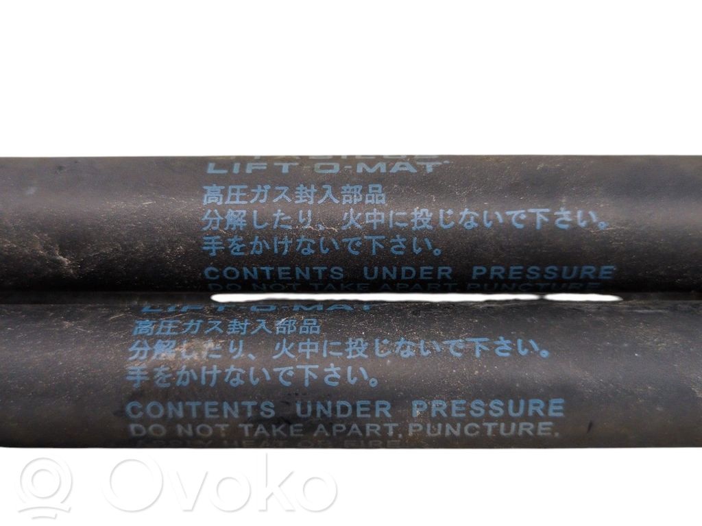 Tailgate/trunk strut/damper   8180063822