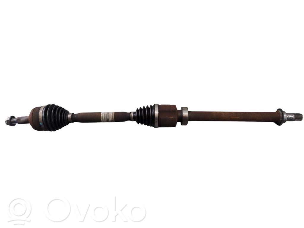 Priekšējā pusass   391006849R