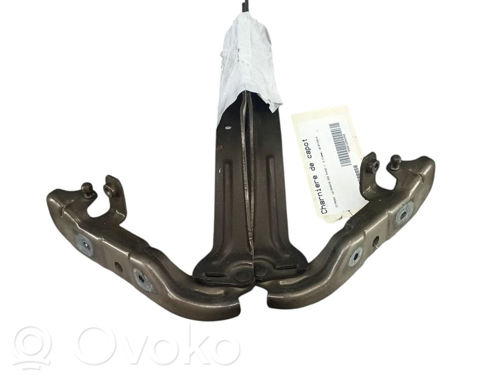 Dzinēja pārsega eņģe (-es)   9803474780