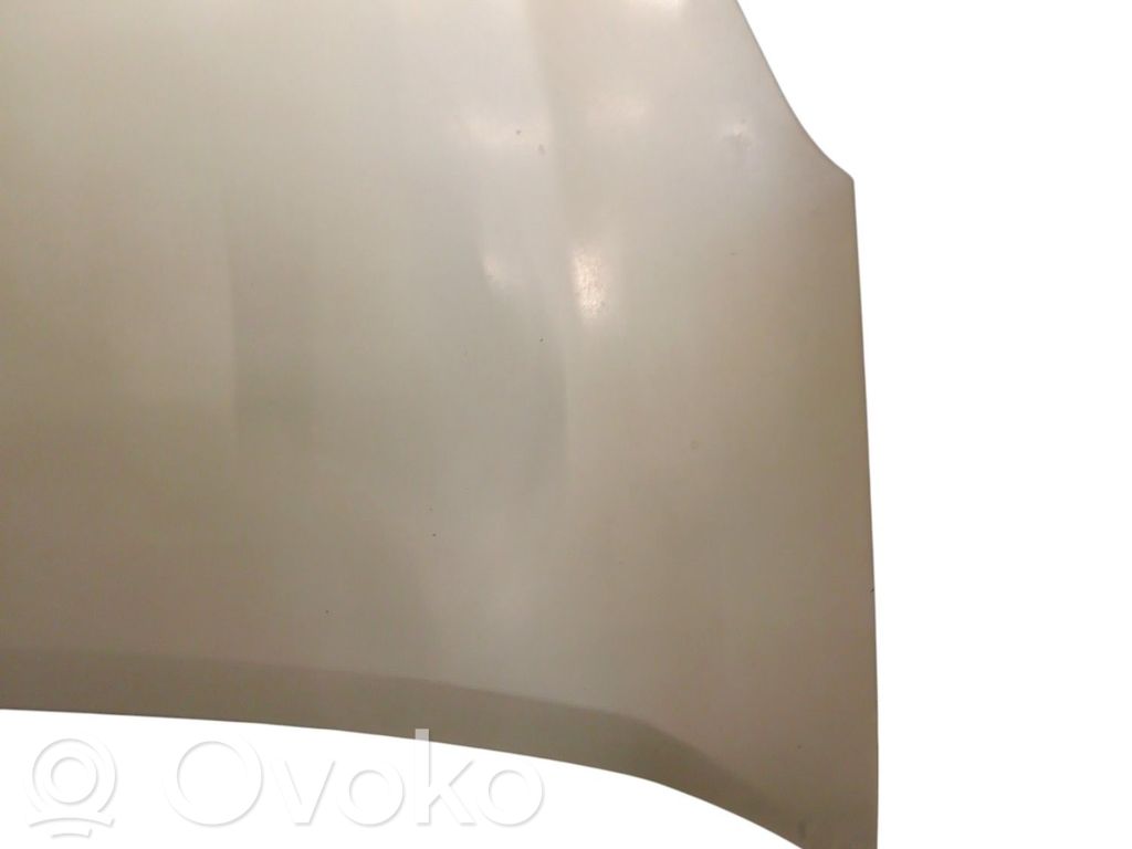 Konepelti   00007901P7