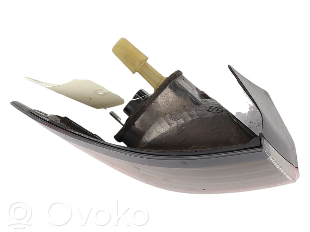 Galinis žibintas kėbule   1467473