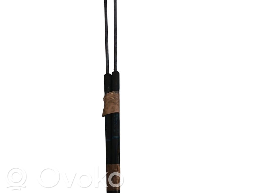 Tailgate/trunk strut/damper   8V4827552