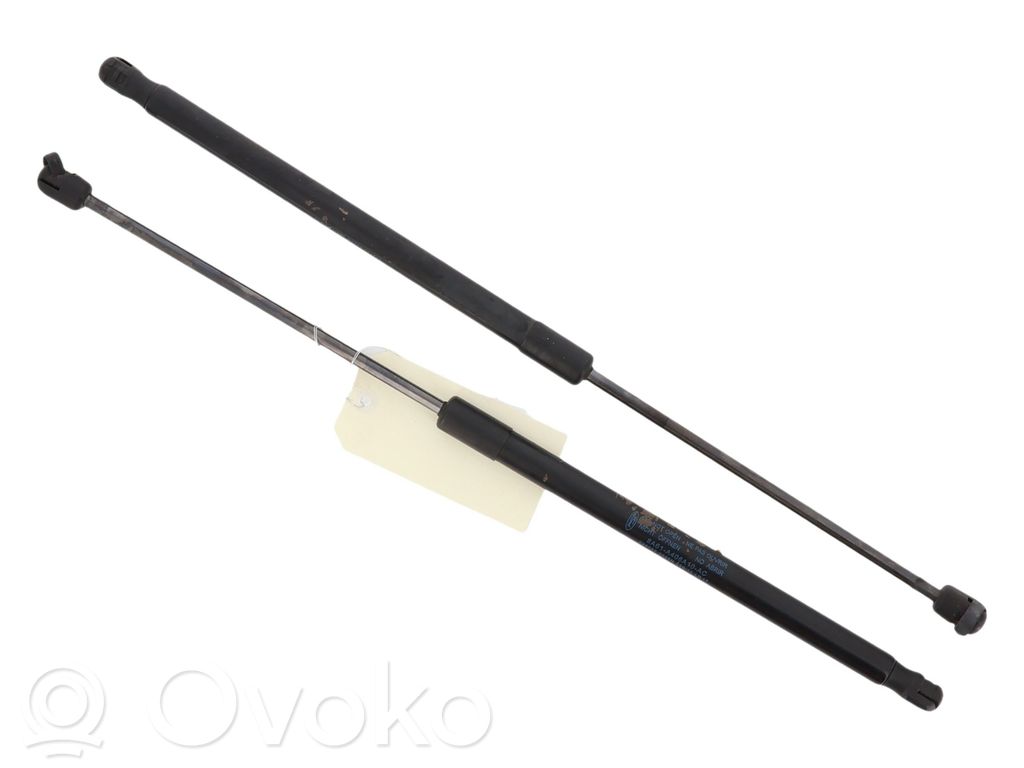 Tailgate/trunk strut/damper   1666068