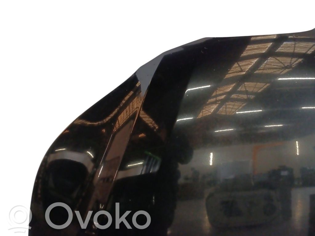 Dzinēja pārsegs (vāks)   41617111385