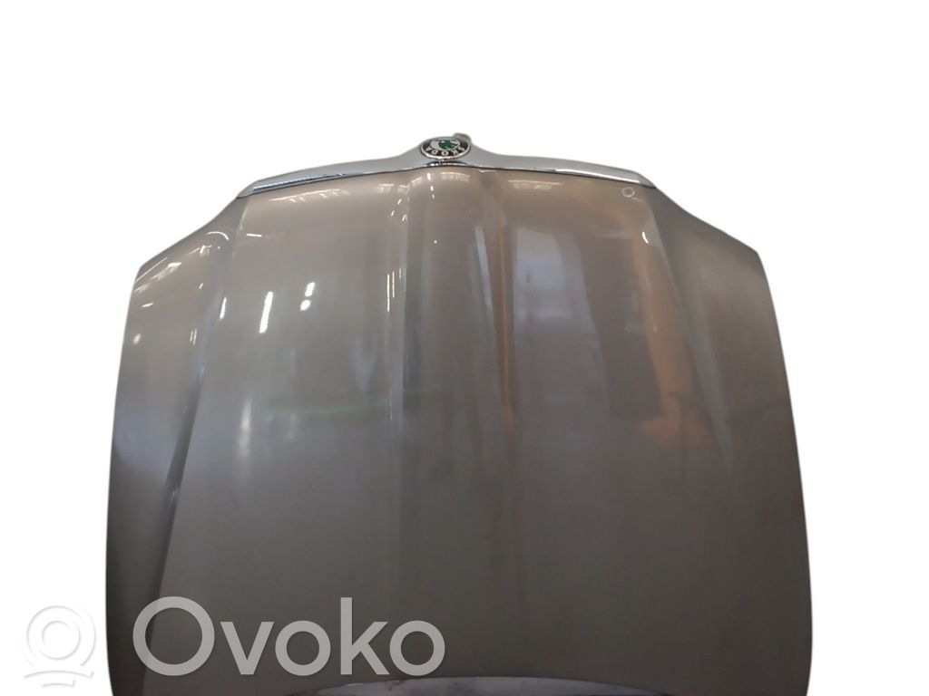 Konepelti   3T0823031