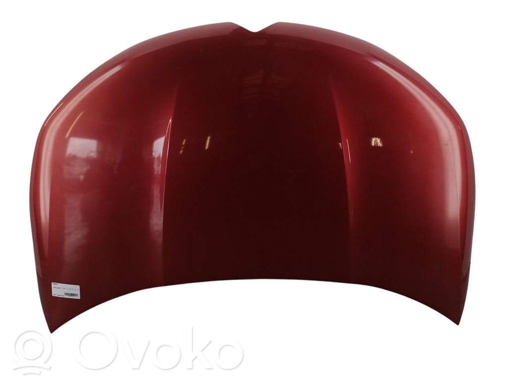 Motorhaube   9822719680