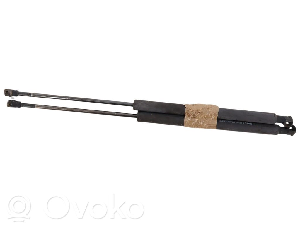 Tailgate/trunk strut/damper   8731L7