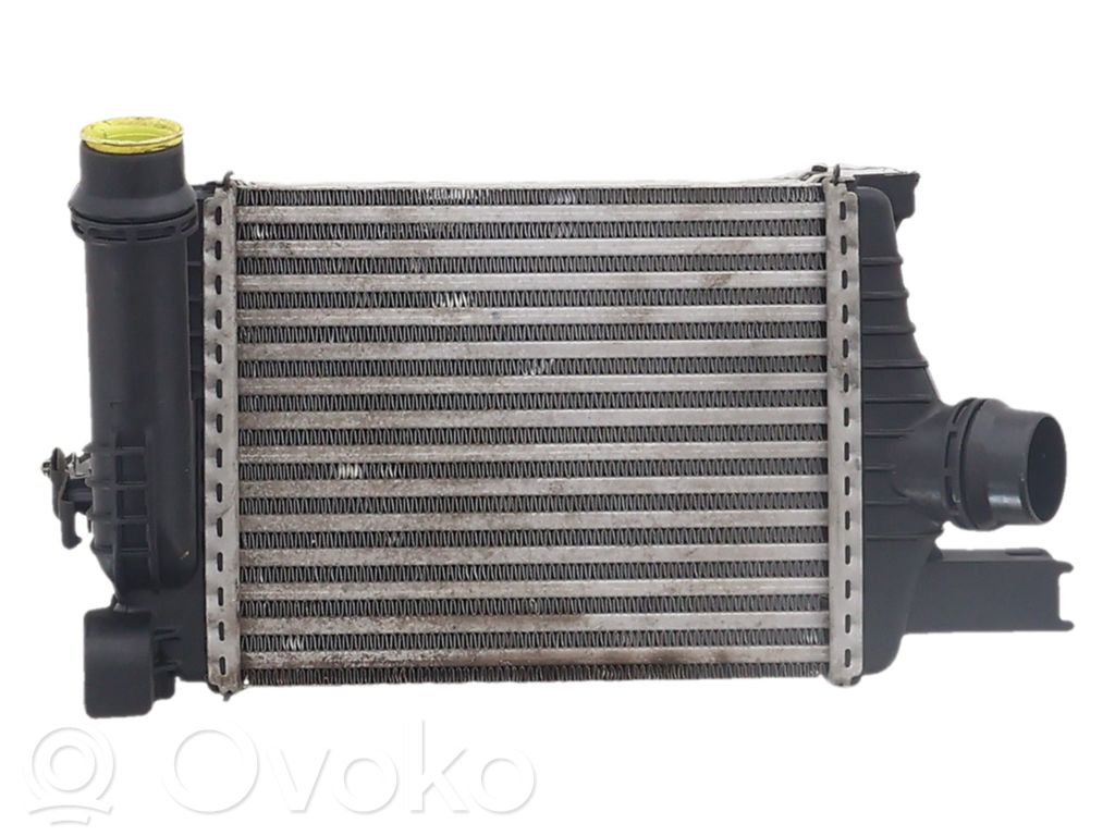 Renault Megane III Radiator intercooler 