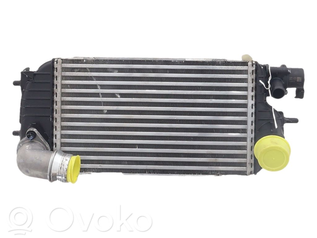 Hyundai Tucson IV NX4 Radiator intercooler 