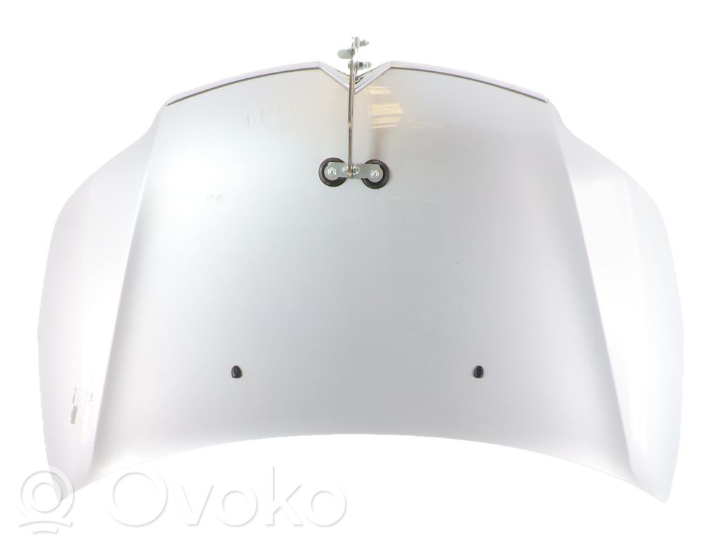 Motorhaube   00007901Q6