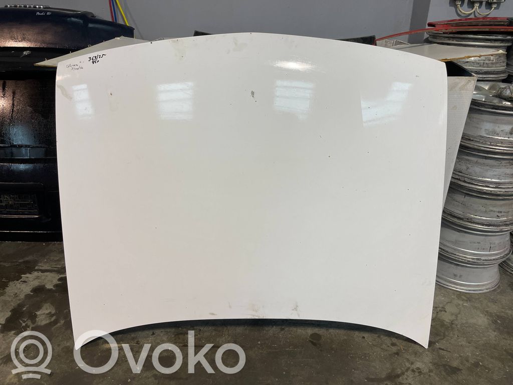 Engine bonnet/hood