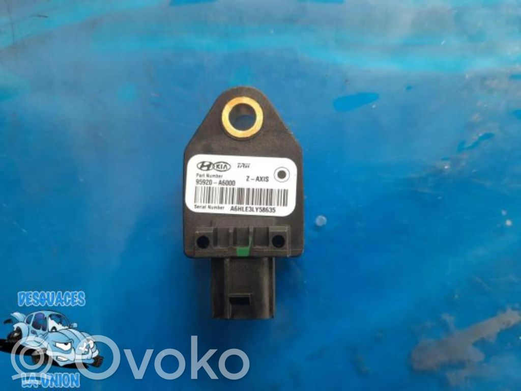 Kitas daviklis   95920A6000