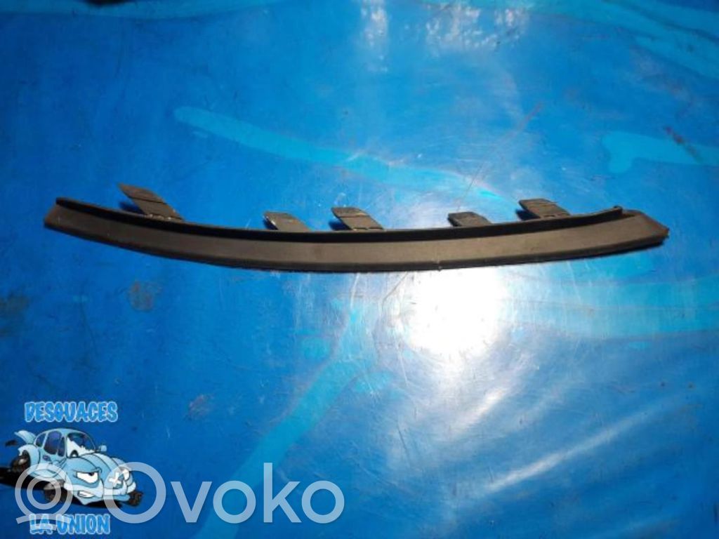 Bottom trim   13432003