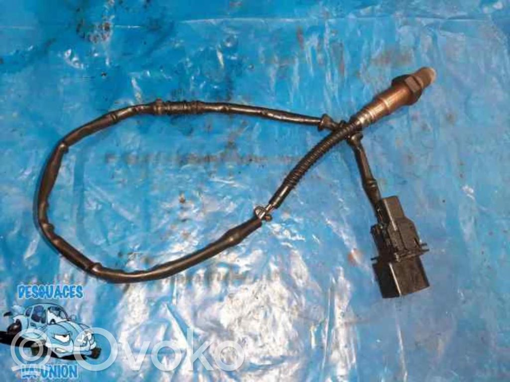 Lambda zondas   021906262B