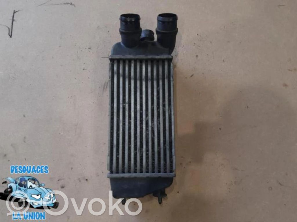 Citroen C3 Interkūlerio radiatorius 