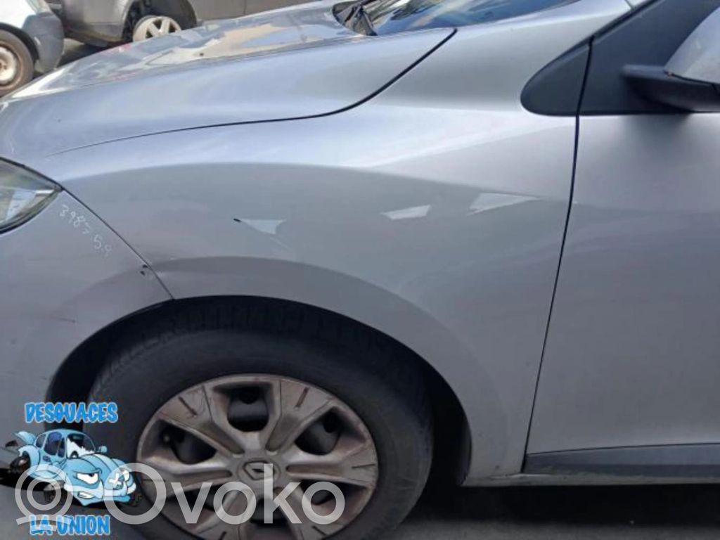 Aleta delantera