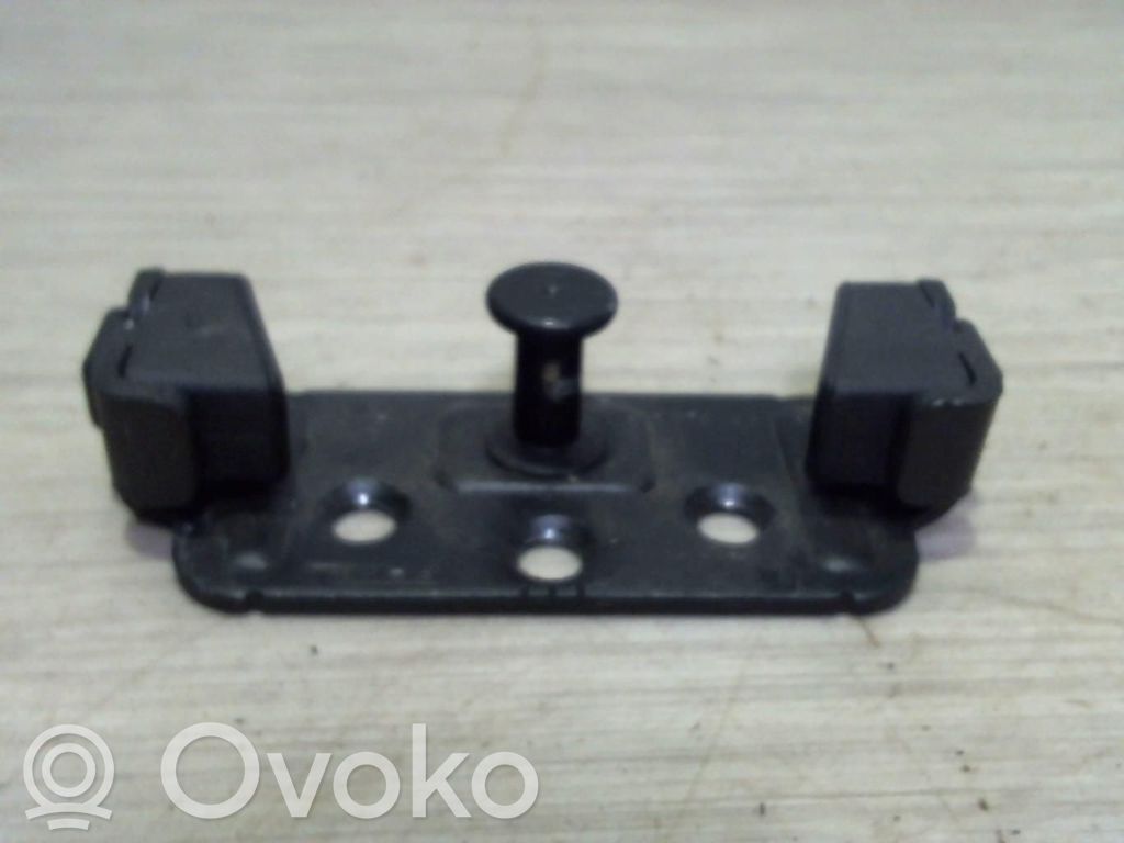 Spyna galinio dangčio   51247840617,51247840617