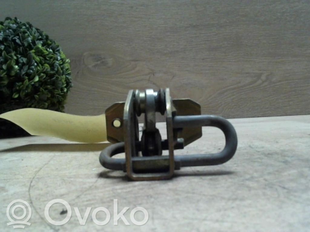 Rear door lock loop/hook striker
