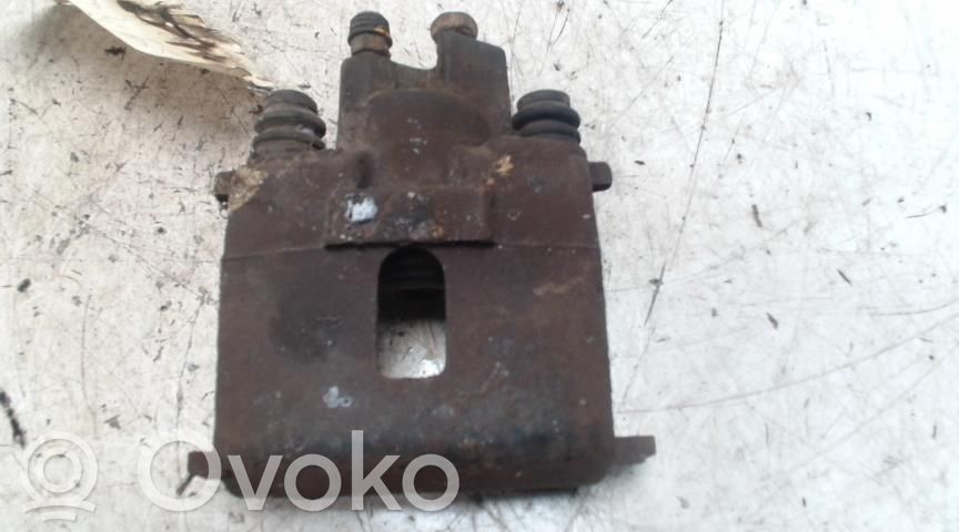 Takajarrusatula   5083158AA,5083158AA