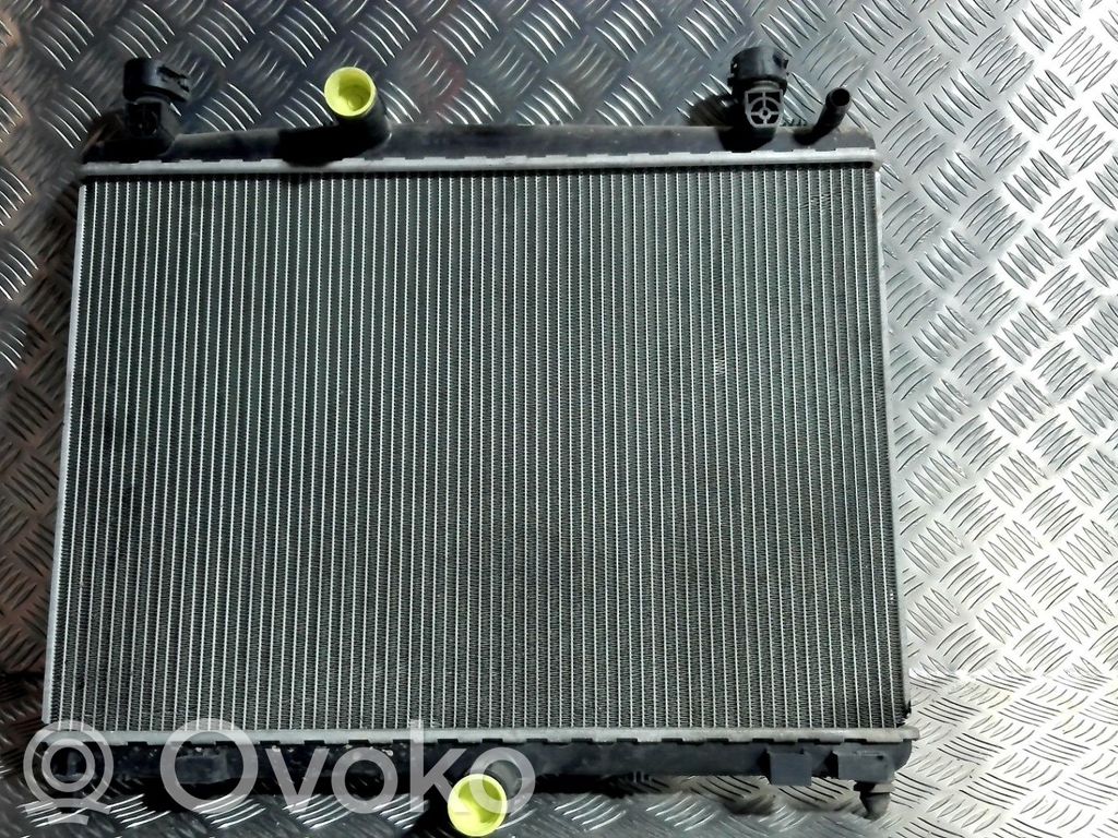 Radiator set   1330W5,1330W5