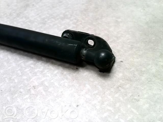 Tailgate/trunk strut/damper