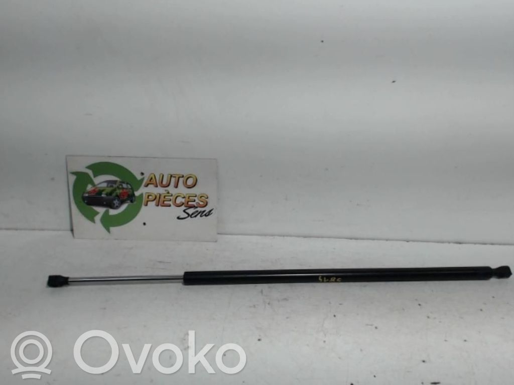 Citroen Jumpy Tailgate/trunk strut/damper 